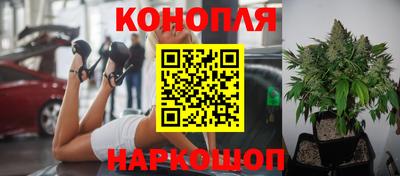 стаф Азнакаево