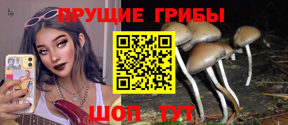 Псилоцибиновые грибы ЛСД Ангарск